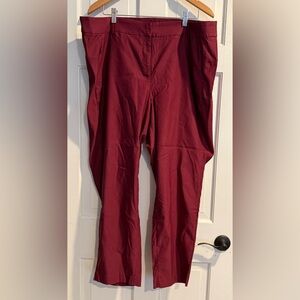 Lane Bryant Maroon 4-season pant